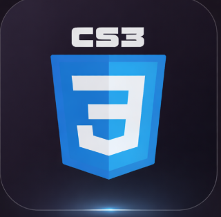 css skill